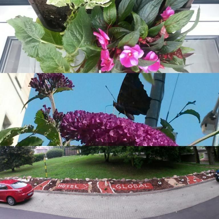 Hotel Global โซโกโลฟ ภายนอก รูปภาพ